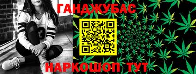 индика Будённовск