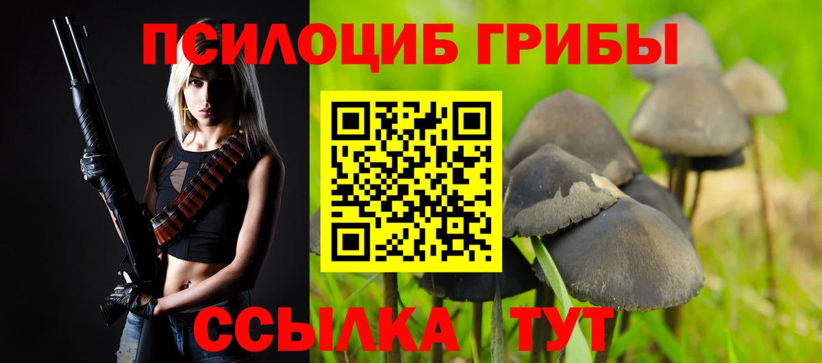 Псилоцибиновые грибы GOLDEN TEACHER Вичуга