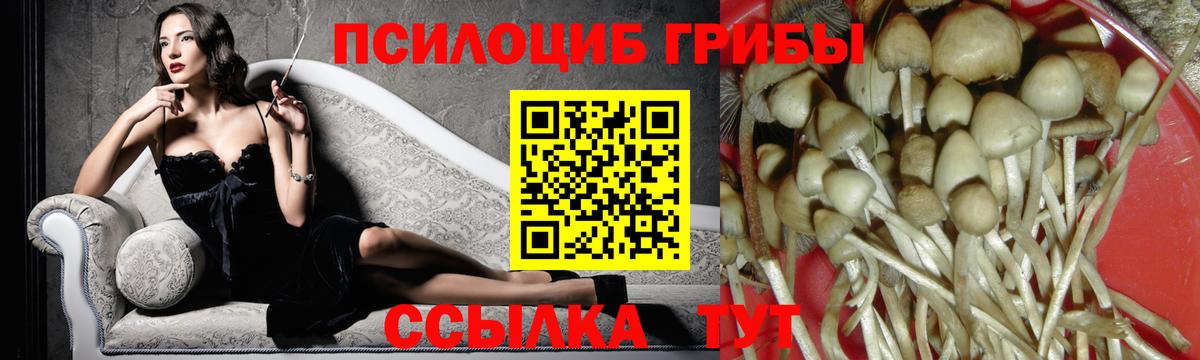 Вичуга  Псилоцибиновые грибы ЛСД  Галлюциногенные грибы MAGIC MUSHROOMS  Вход с VPN 